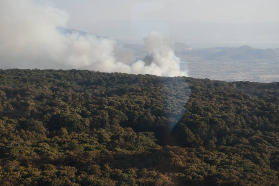 Nuevo incendio de la Primavera arrasó más de mil 500 hectáreas