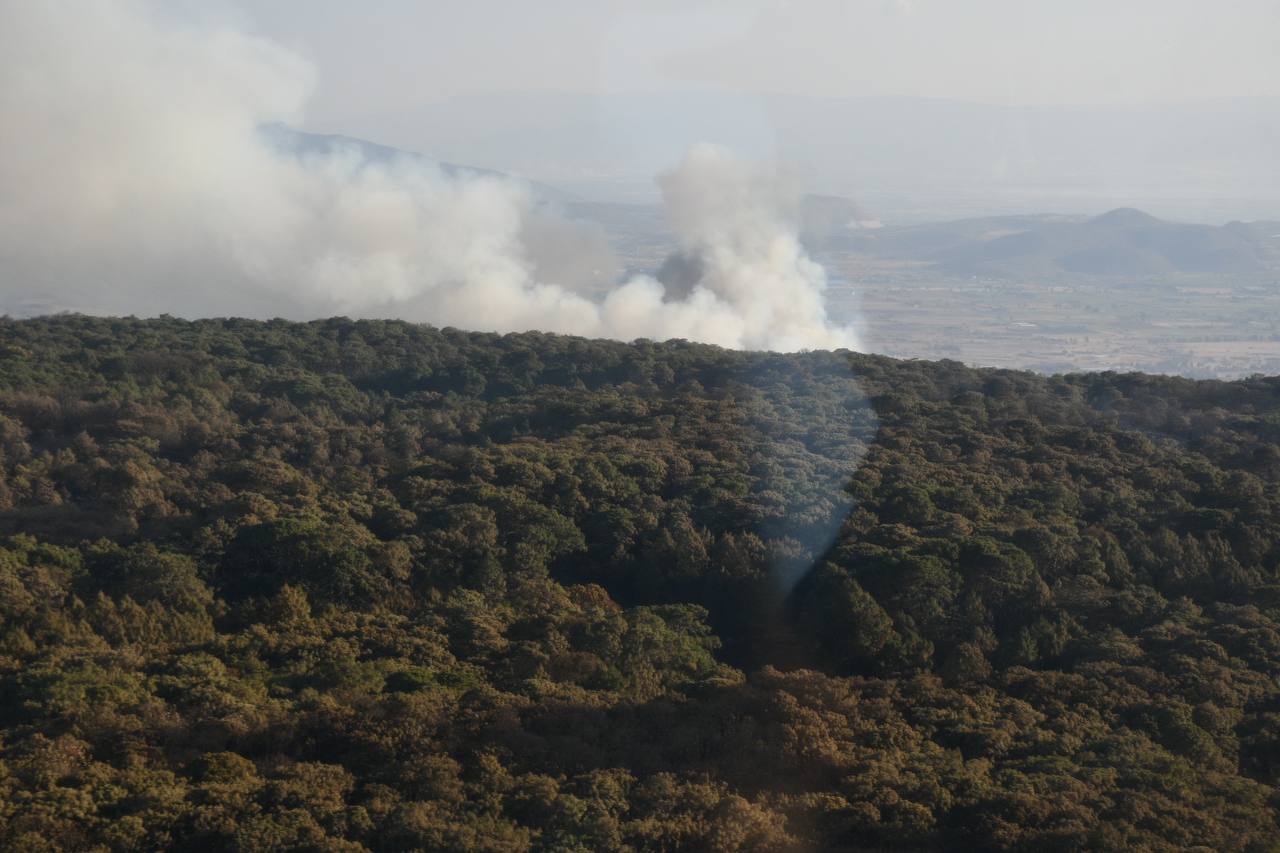 Nuevo incendio de la Primavera arrasó más de mil 500 hectáreas