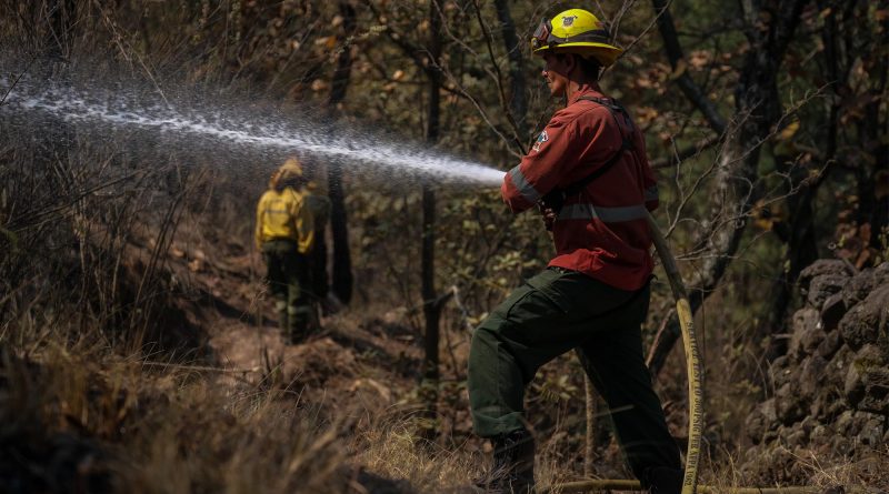 Tras fuertes incendios van por fortalecer Bosque de la Primavera