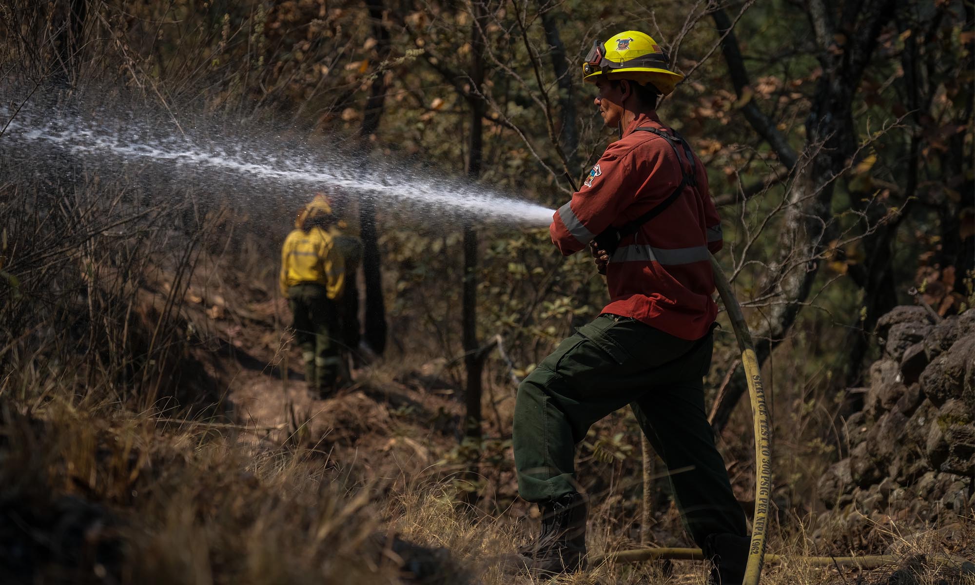 Después de cuatro días controlan Incendio en Bosque de la Primavera