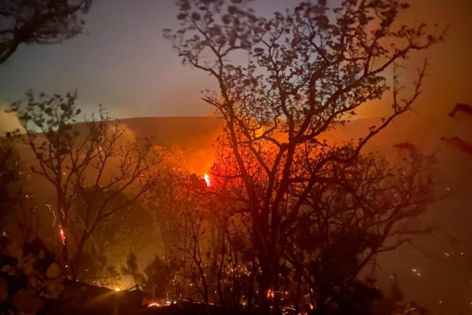 Suman 36 horas del incendio registrado en el bosque de la primavera en Zapopan Jalisco.