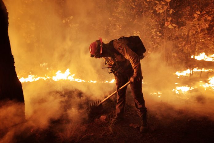 Presentan denuncias penales ante FGR por los incendios forestales