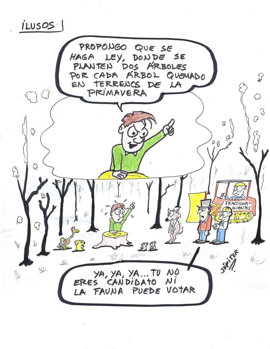 Jalisco 1 4 carton 2