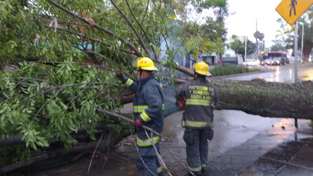 Tromba deja diversas inundaciones y árboles caídos en la zona Oblatos
