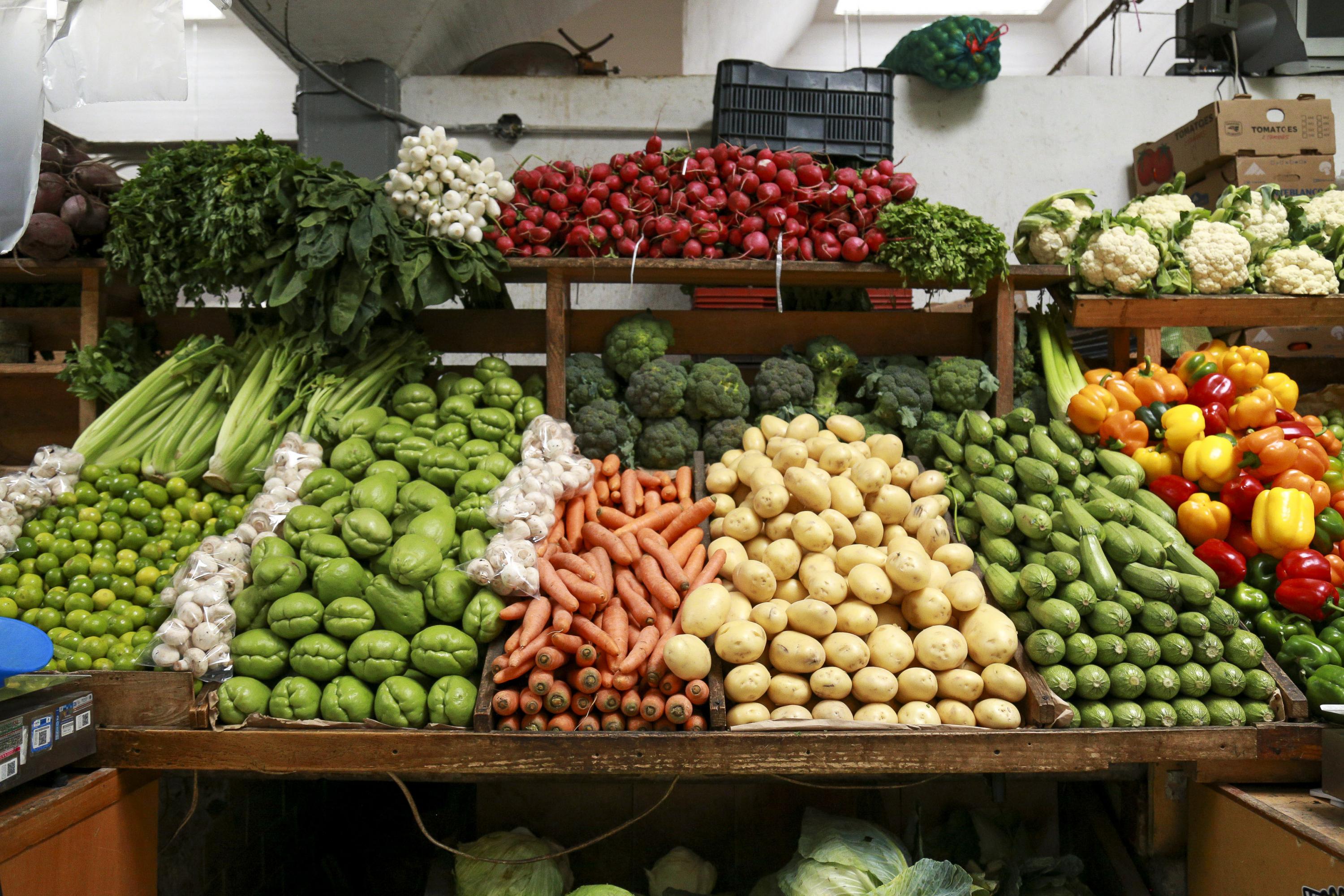 Jalisco 1 1