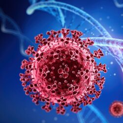 neutraliza al SARS-CoV-2