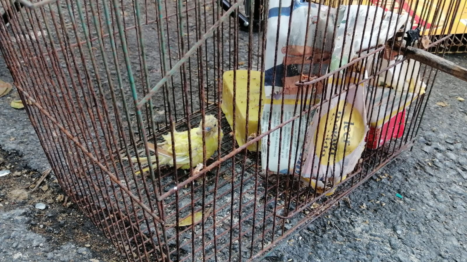 IMG 20220723 WA0058