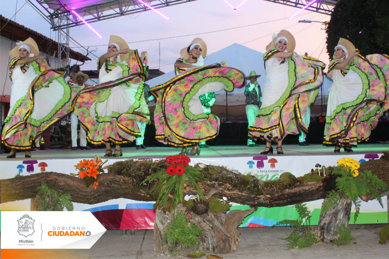 Hongos divinos.. Mixtlán, Jalisco
