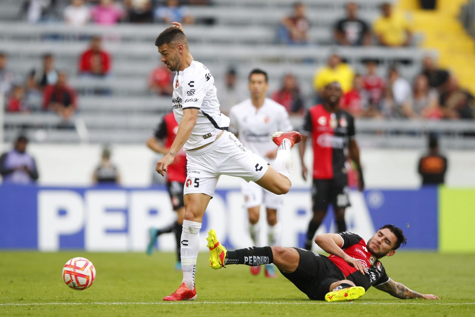 WhatsApp Image 2022 07 26 at 10.34.25 PM