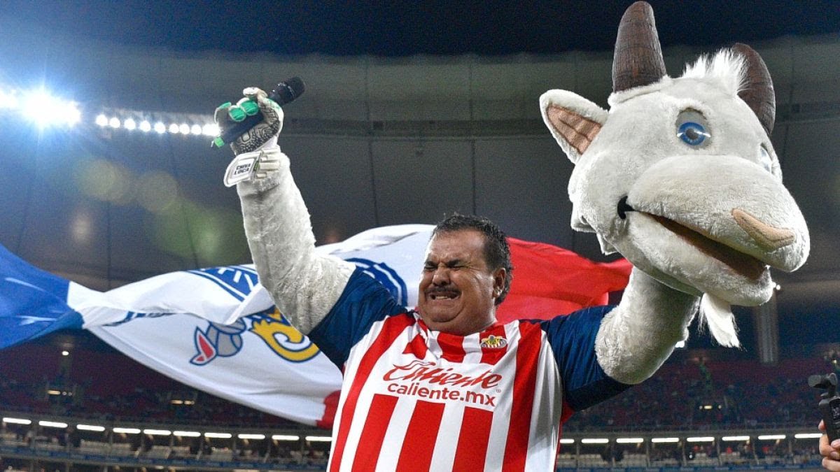 WhatsApp Image 2022 07 31 at 11.17.37 AM