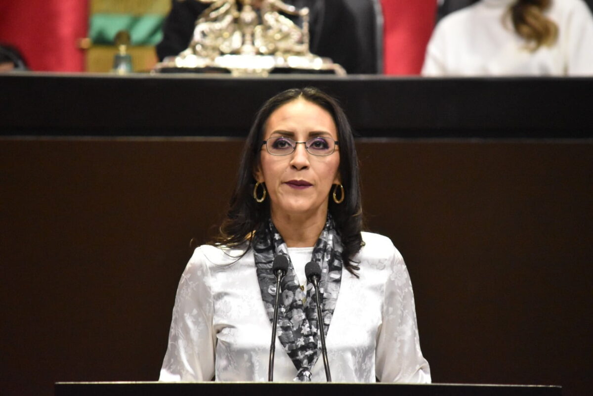 Busca diputada frenar ecocidio
