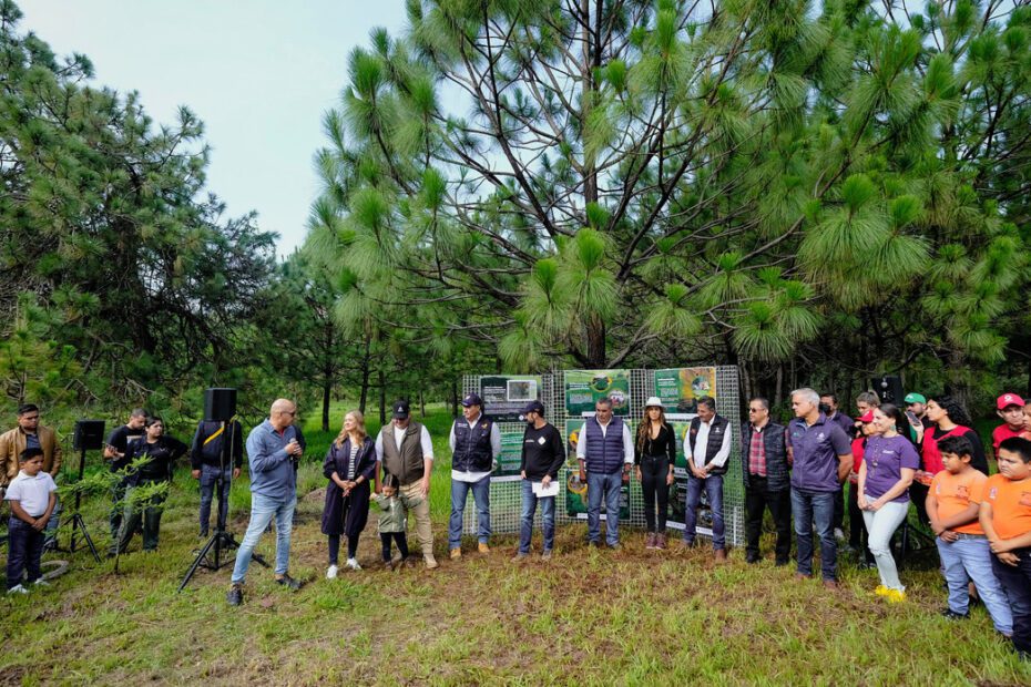 Reforestarán Áreas Naturales Protegidas plantando78 mil árboles en Jalisco