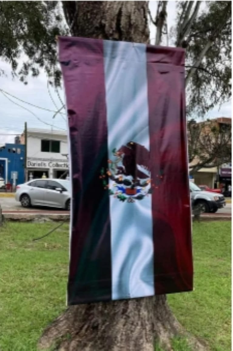 Renuncia director de imagen en Nayarit por uso indebido de colores en la Bandera