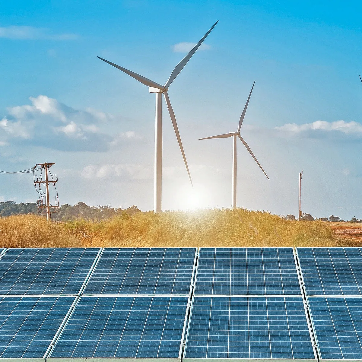 energia verde.jpg 423682103