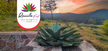 Raicilla Fest San Gregorio