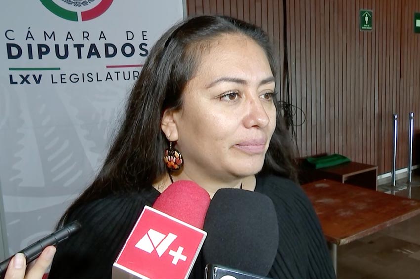 Diputada del PRD reprueba los calificativos del presidente sobre marcha en defensa del INE