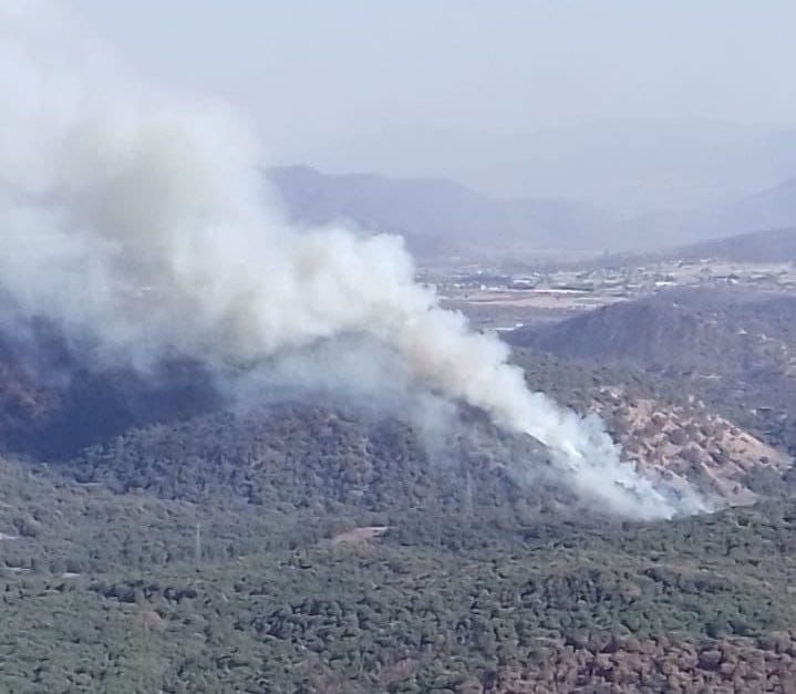 Segundo incendio del año en el Bosque La Primavera, declaran emergencia atmosférica