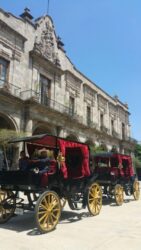 Guadalajara buscará acuerdo para cambiar las calandrias con caballos por calandrias eléctricas
