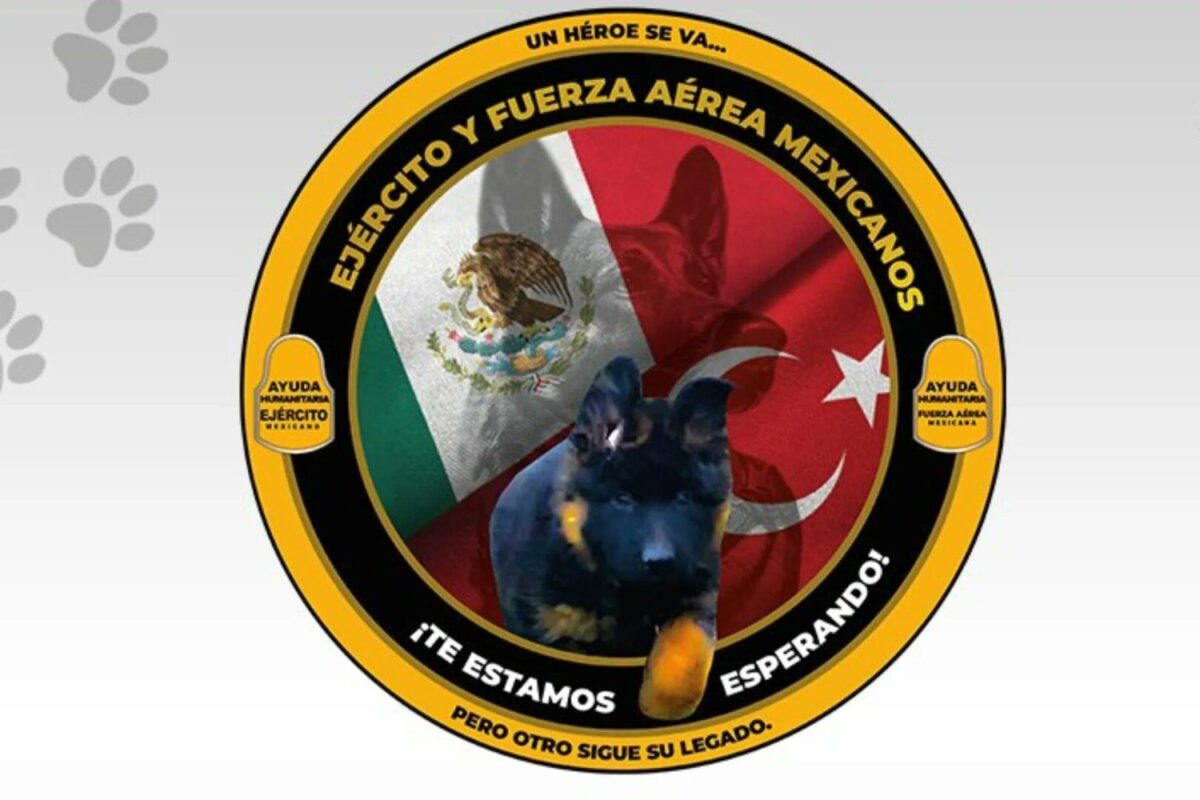 ‘Proteo’ tiene sucesor, Turquía dona cachorrito a la Sedena