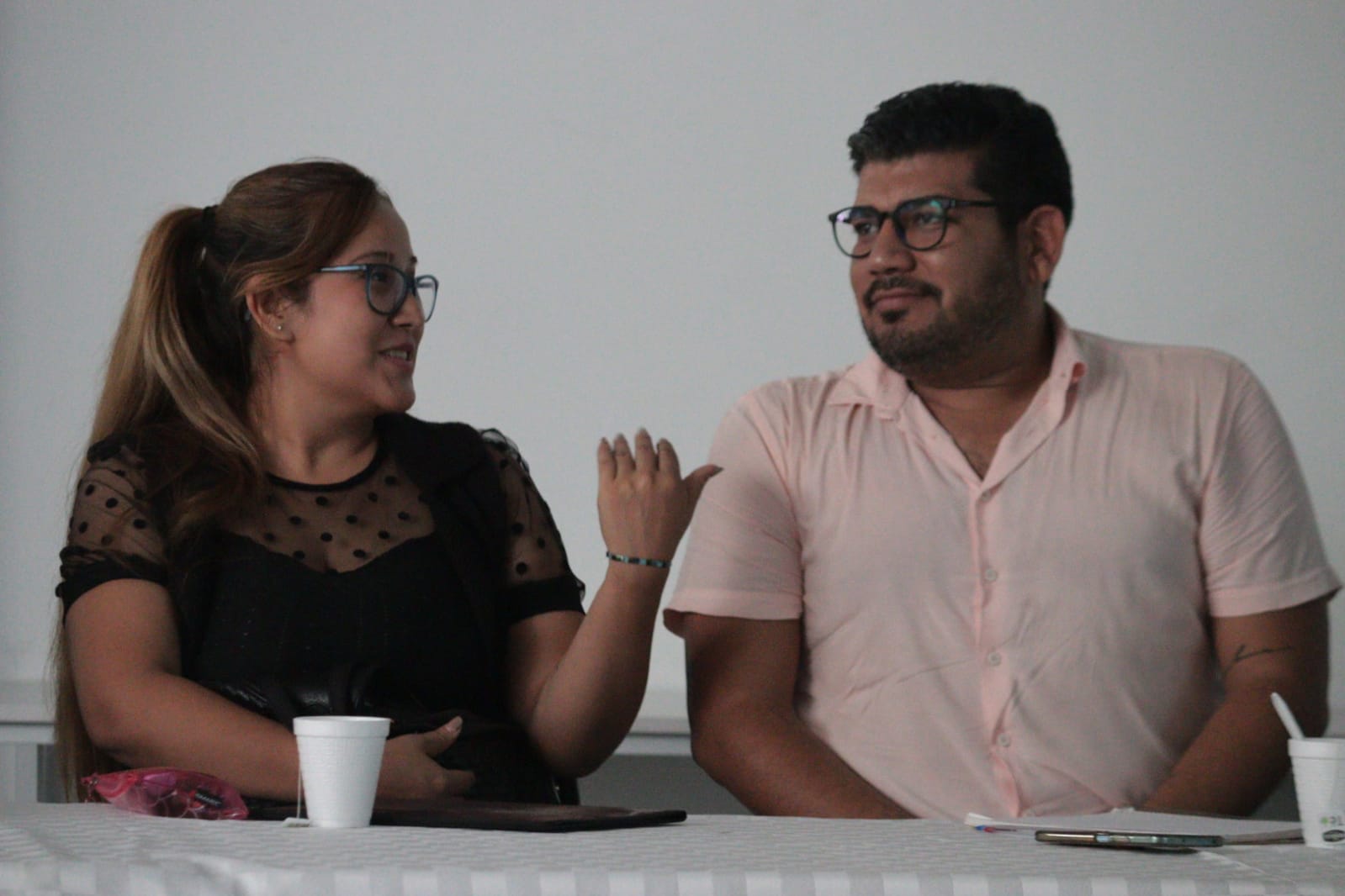 gestacion mujer y vida 2