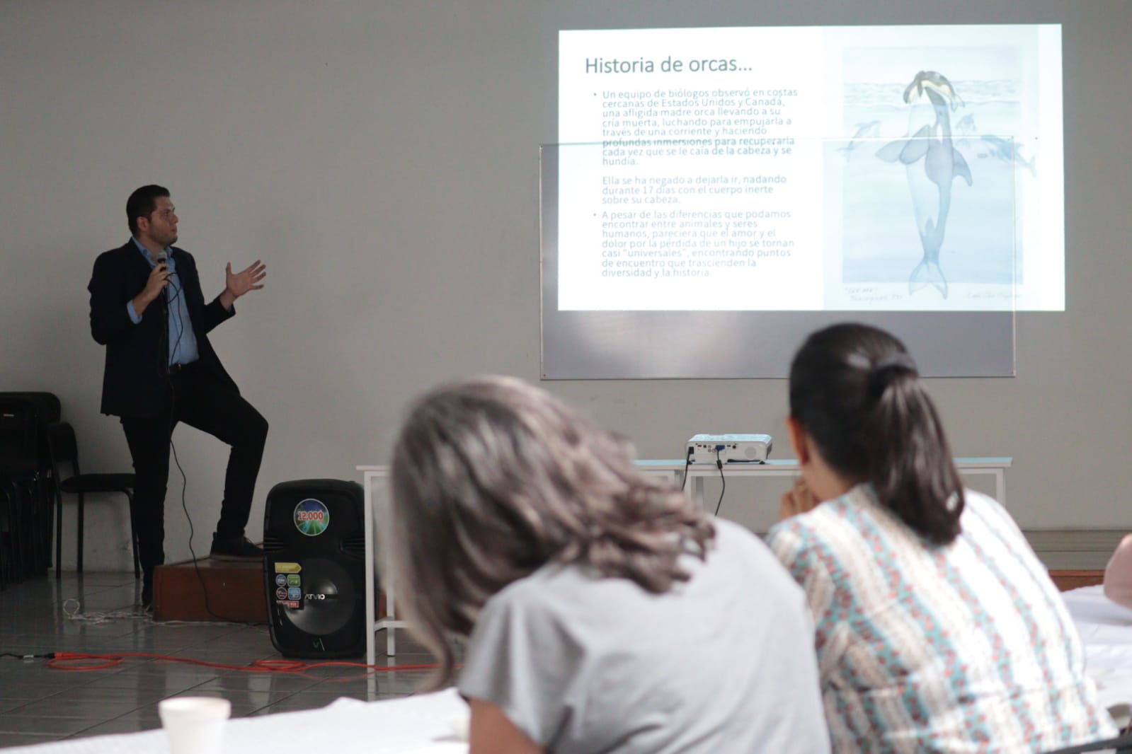 gestacion mujer y vida 3