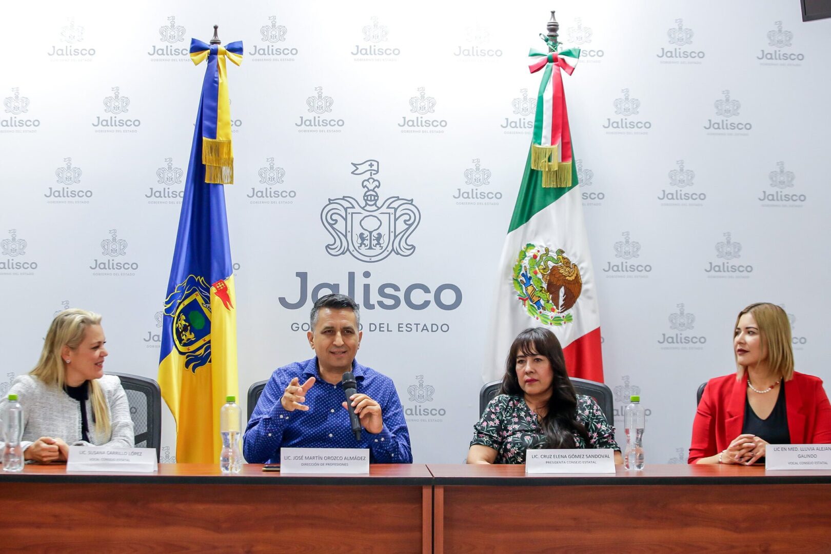 PROFESIONES DEL EDO