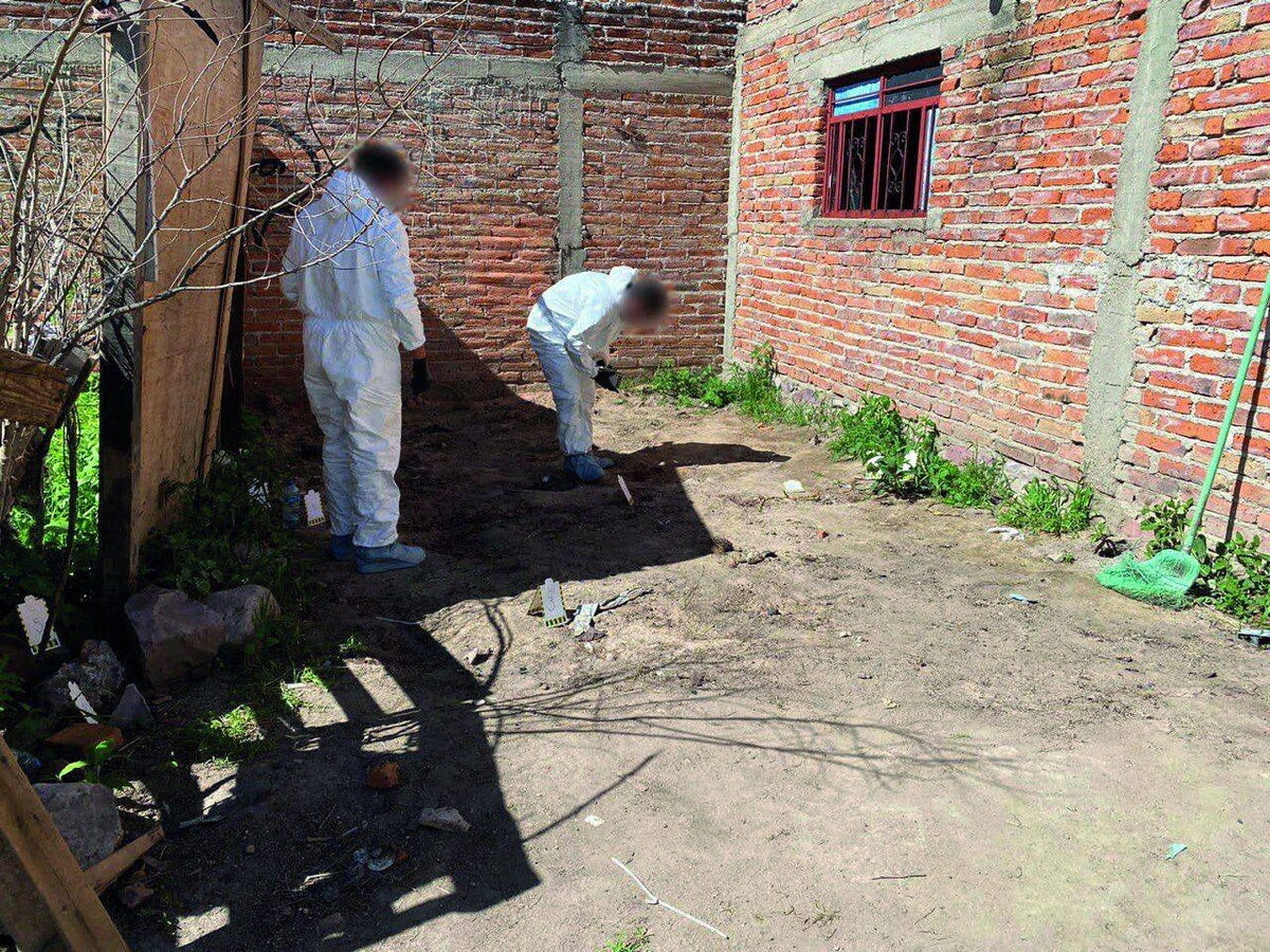 Imagen de WhatsApp 2023 08 16 a las 18.24.38