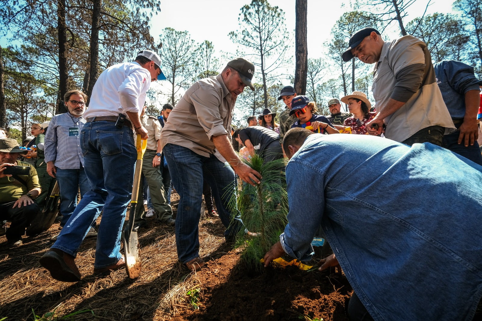 WhatsApp Image 2023 08 05 at 00.52.28