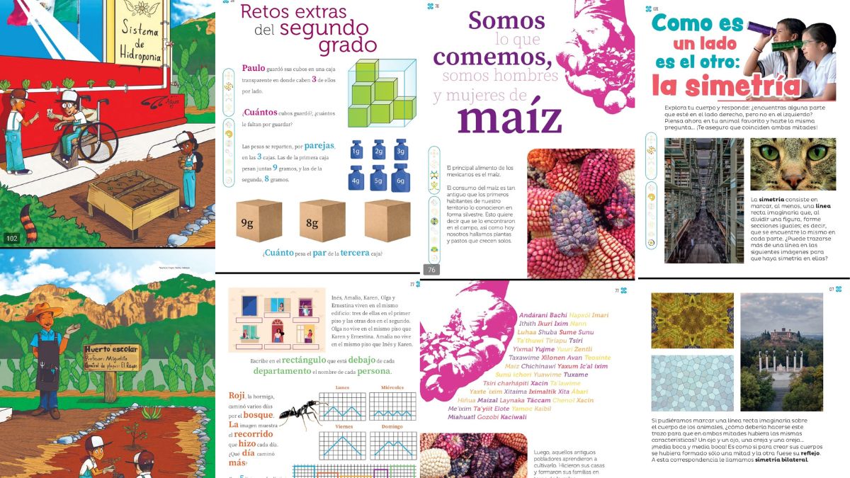 libros de texto gratuito