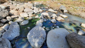 Invertirán 100 mdp en el programa Preservar el agua para la vida