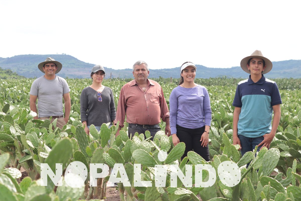 Distribuidor de Nopales en Jalisco