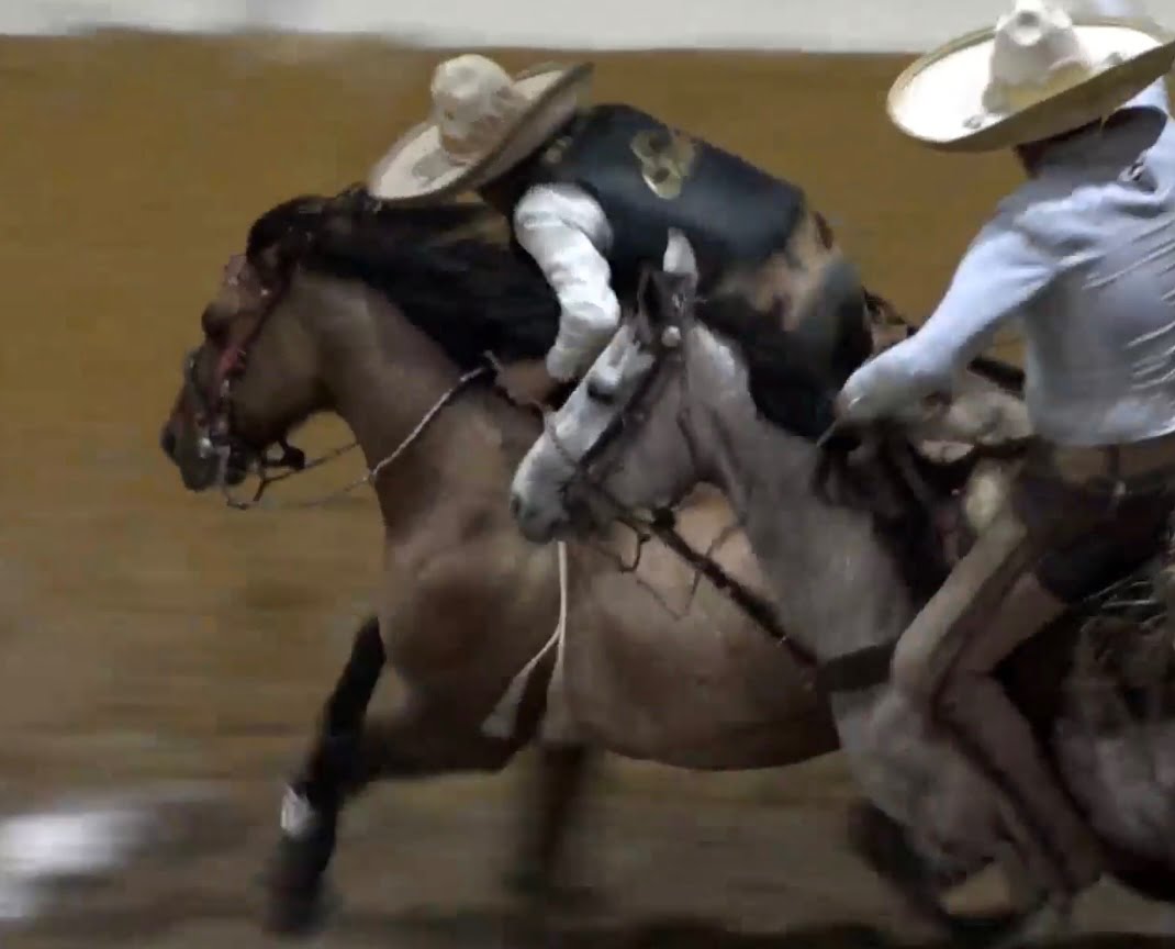 WhatsApp Image 2024 02 28 at 12.08.23 AM