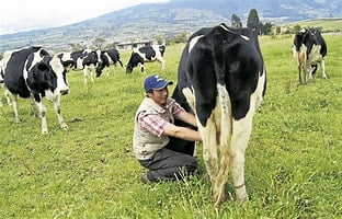 Intentan fortalecer sector lechero en Jalisco
