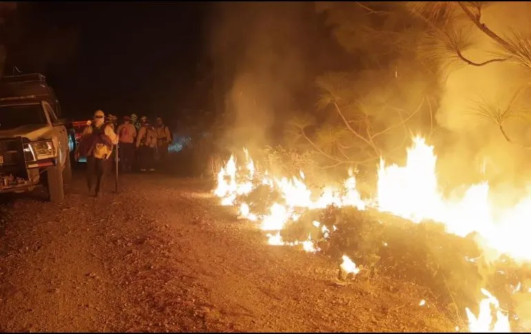 Presentan estrategias contra incendios forestales en Jalisco