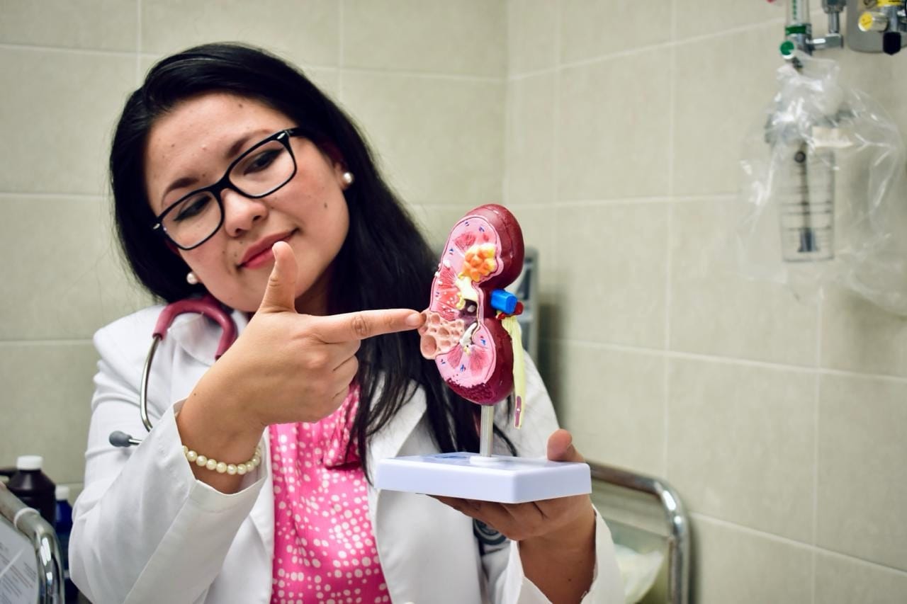 Diabetes mellitus e hipertensión, detonantes de enfermedad renal