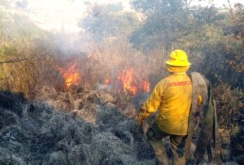 Disminuyen incendios forestales en Jalisco en comparación con años anteriores