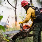 Prevención de incendios forestales en la interfaz urbano-forestal