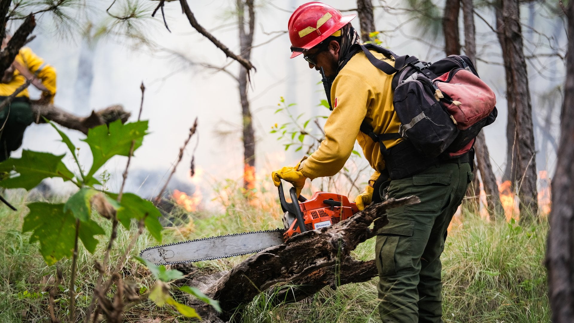Prevención de incendios forestales en la interfaz urbano-forestal