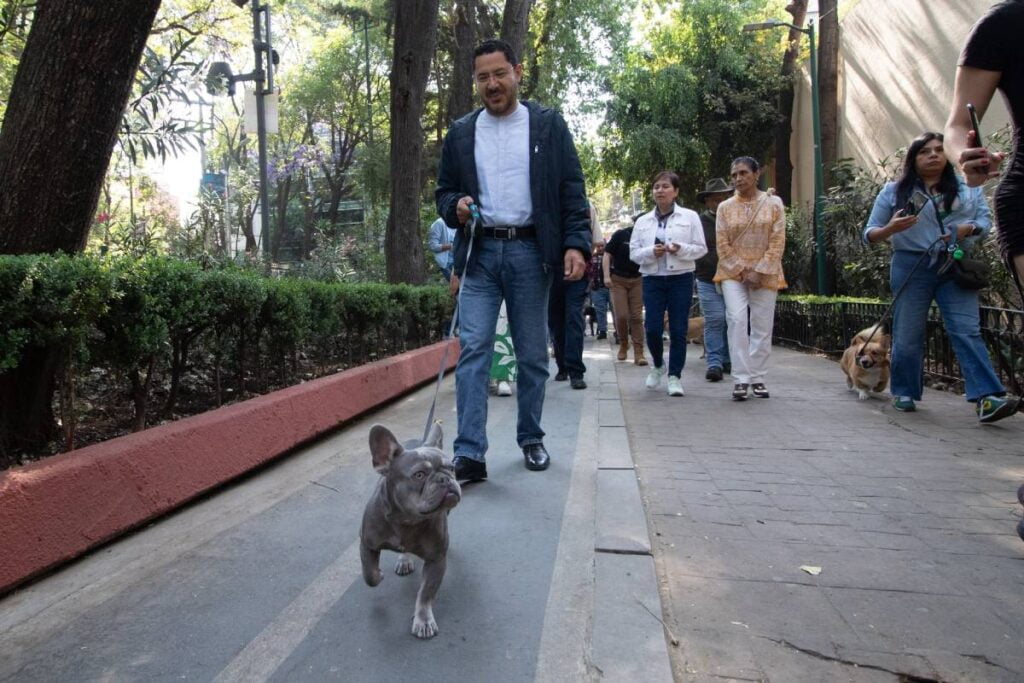 Analizan crear Registro Único de Animales en Jalisco