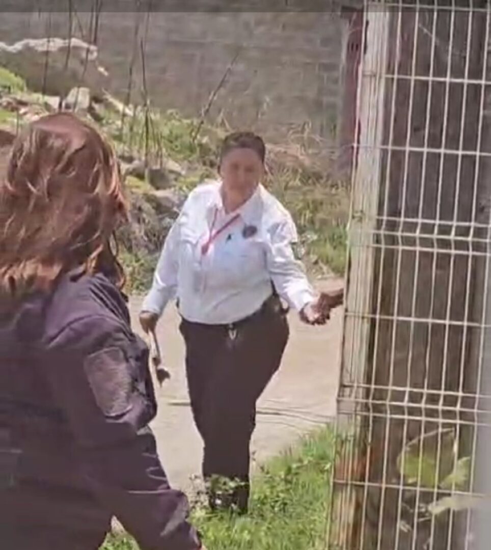 Captan a 2 del 'escuadrón verde' en pleno acto de corrupción