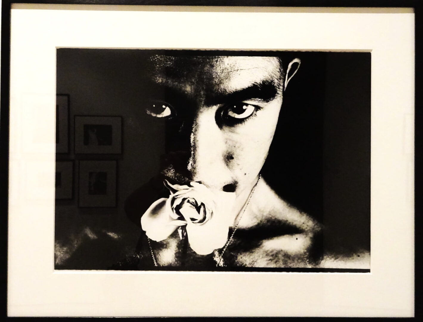 WhatsApp Image 2024 08 11 at 12.51.00 AM