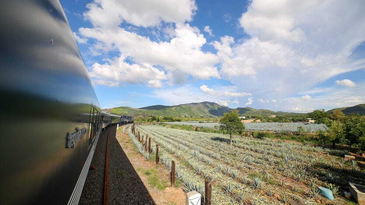 TREN