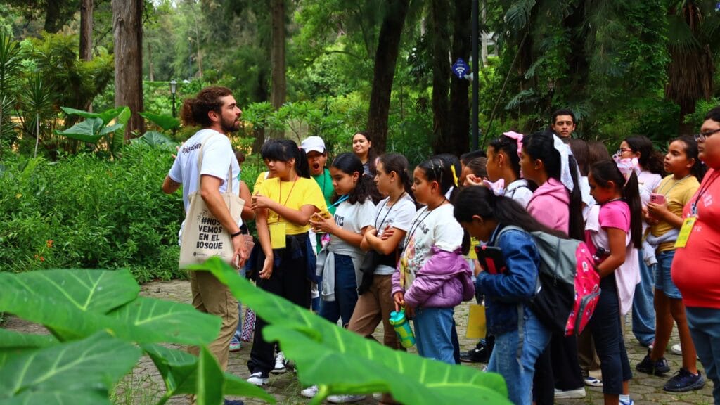 AMBU VISTANTES Más de 7 millones de visitantes disfrutaron de los 13 bosques urbanos en 2024
