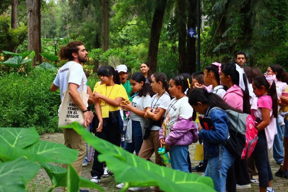 Más de 7 millones de visitantes disfrutaron de los 13 bosques urbanos en 2024