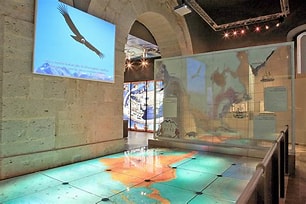 MUSEO2 Jalisco reafirma compromiso cultural con exposiciones en Museo de Sitio Palacio de Gobierno