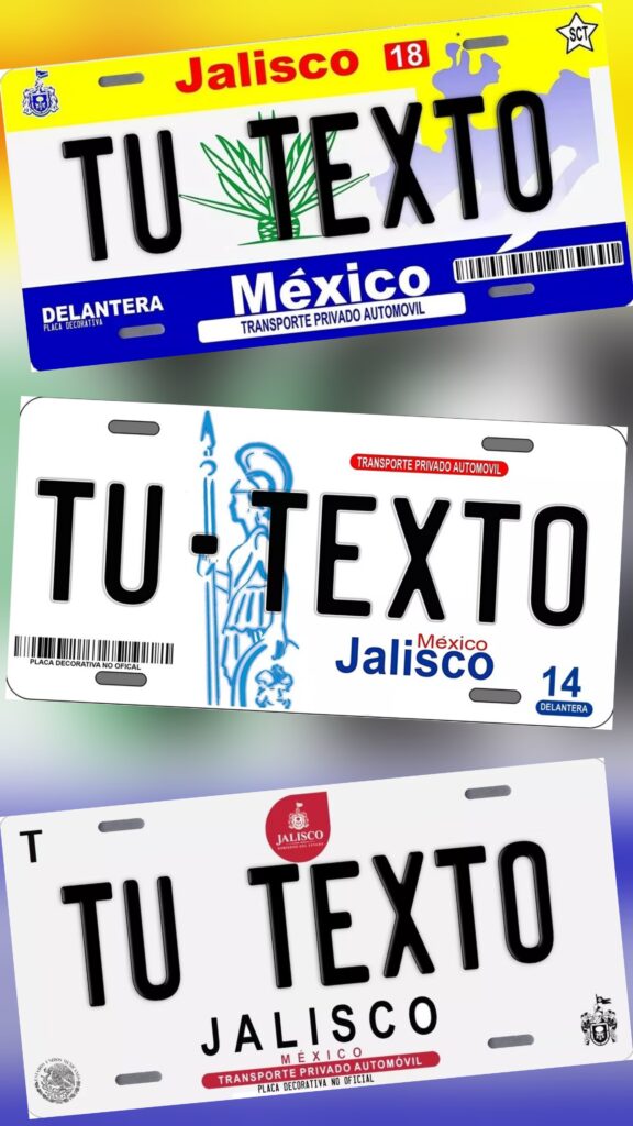 1000008855 Jalisco