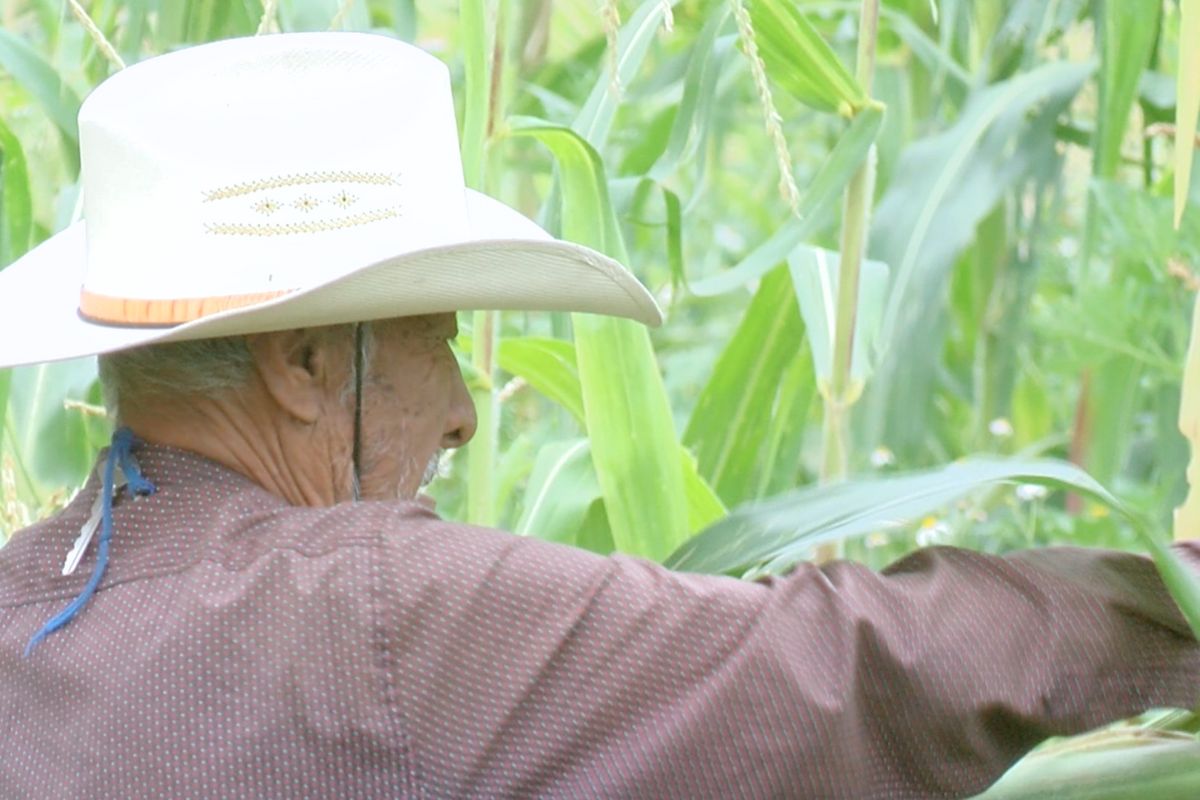 productores del campo en jalisco