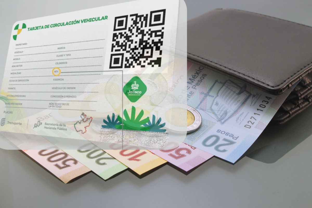 refrendo vehicular 2026