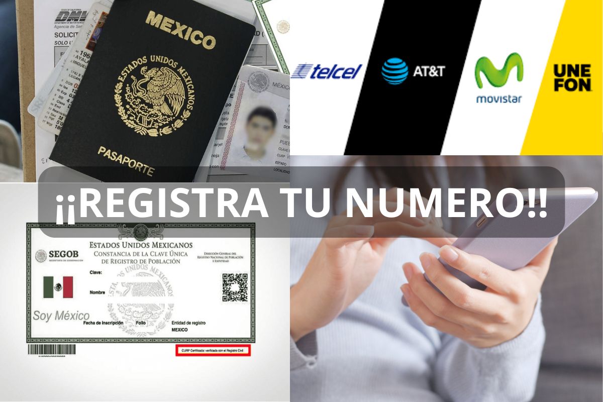 registro de numero celular con curp