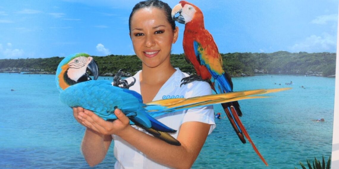 Opinion sobre Xcaret y debate legal